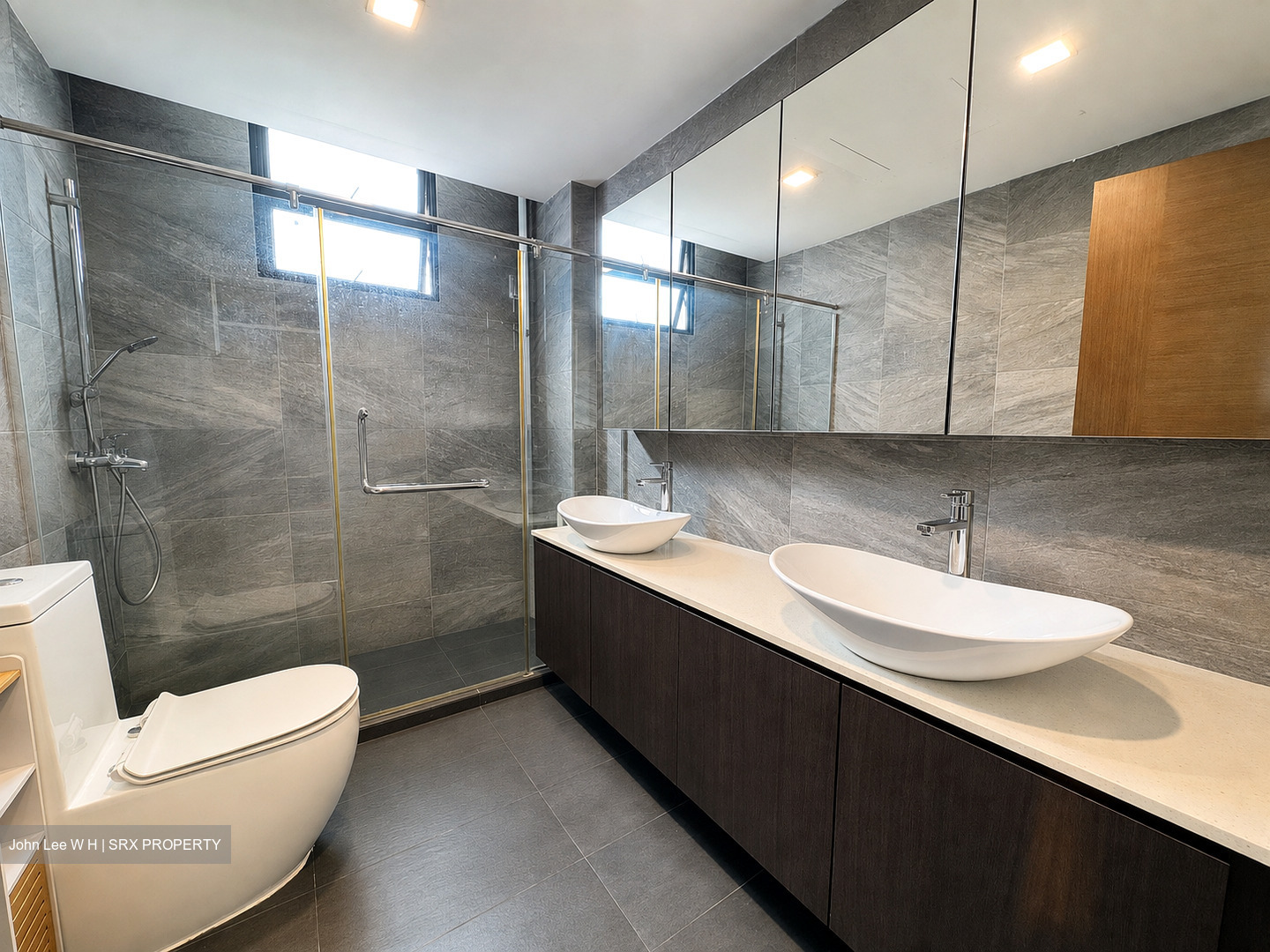 The Park Vale (D11), Condominium #603708541